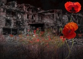 Pauli-Gerritsen-In-Flanders-Fields
