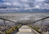 JanWillemHofstee20250716-JWH_1464